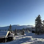 Large With Beautiful View In Σαλέ Trysil