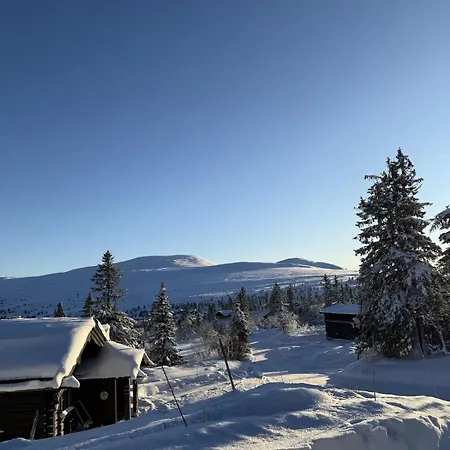 Large With Beautiful View In Chalet Trysil