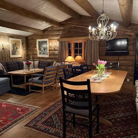 Large With Beautiful View In Trysil